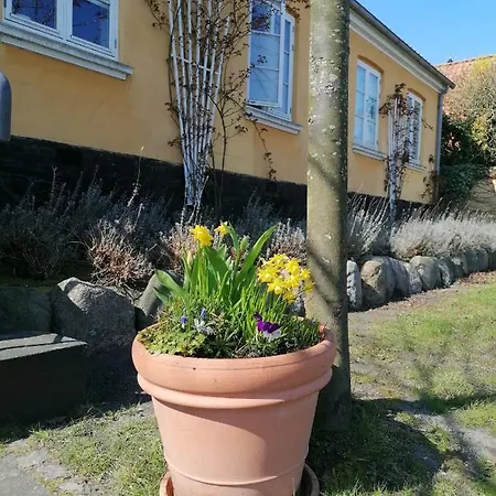 호텔 Femmasteren & 3*