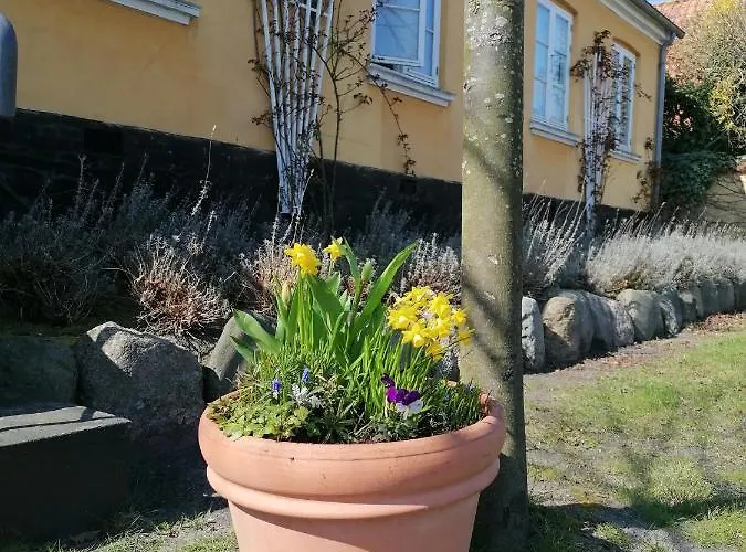 Hotel Femmasteren & 3*